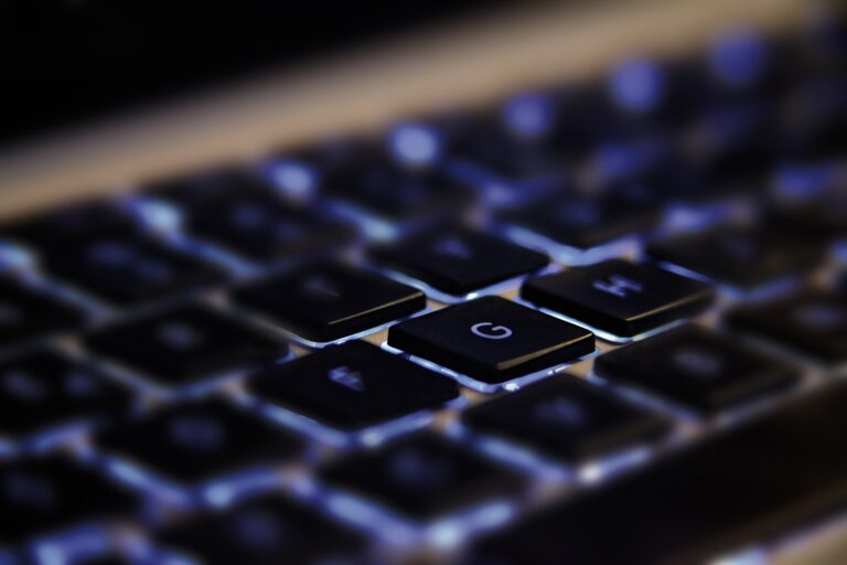 Salidas profesionales del CIO, Director de Sistemas de la Información