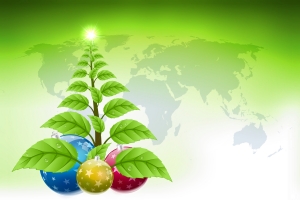 christmas_tree_jpg