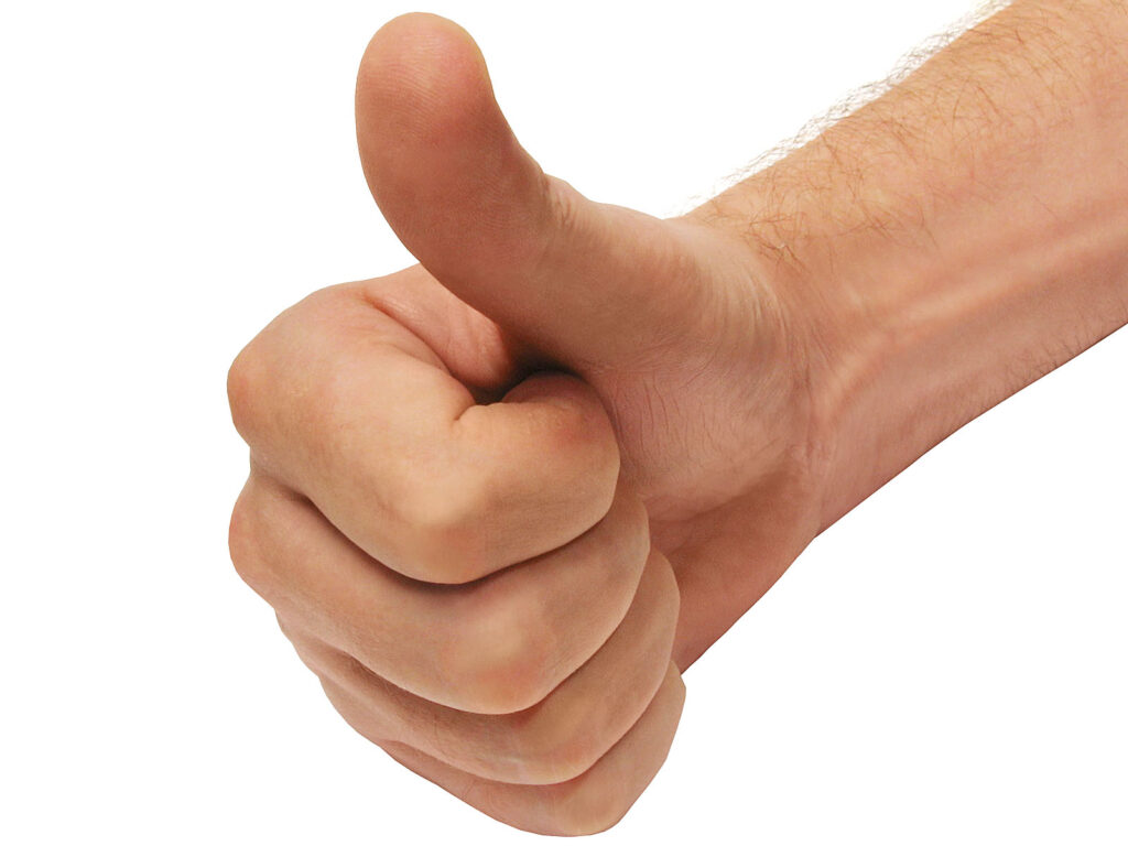 Feedback Positivo