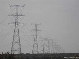 Varapalo a las eléctricas