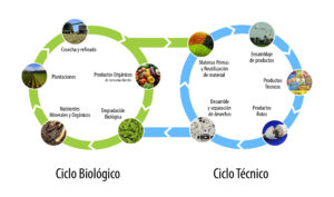 Ciclo_de_vida_C2C