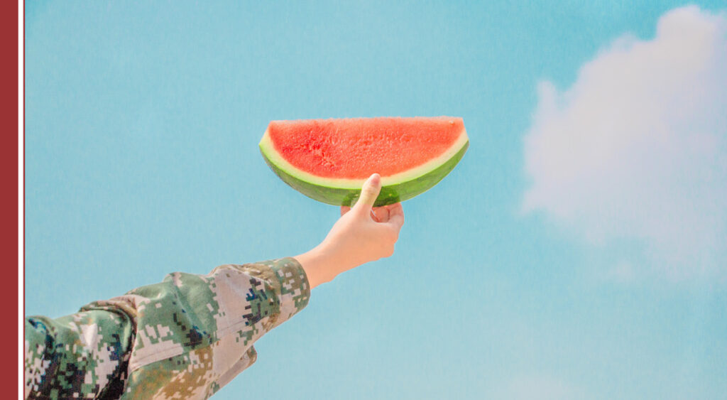 consejos para verano