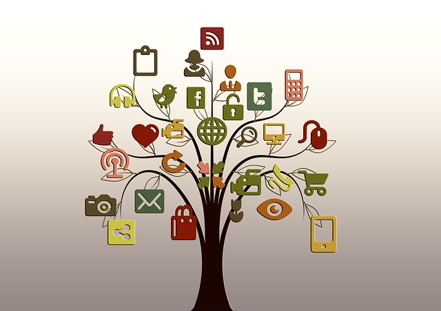social media