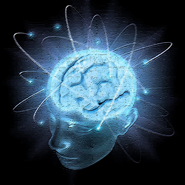 brain-499311_640