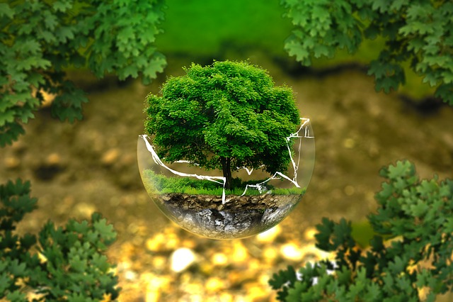 gestión medioambiental