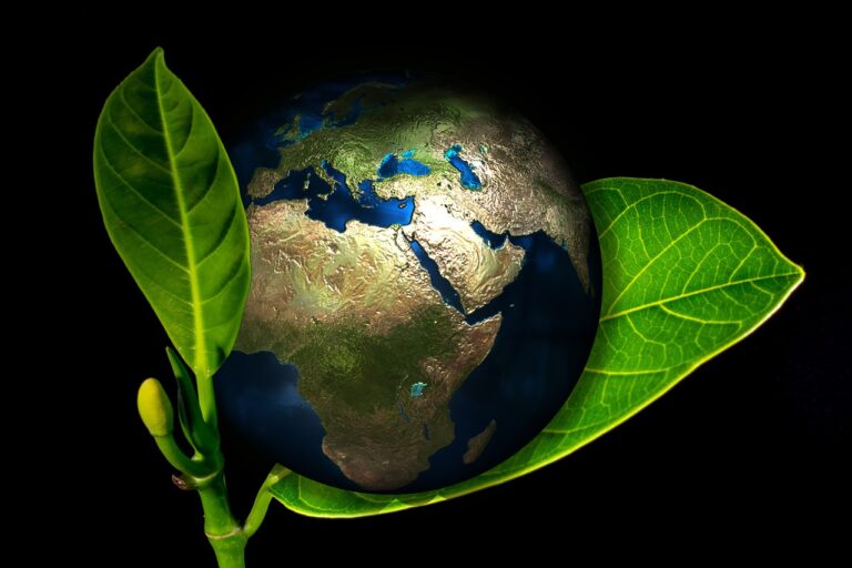 El día mundial del Medio Ambiente