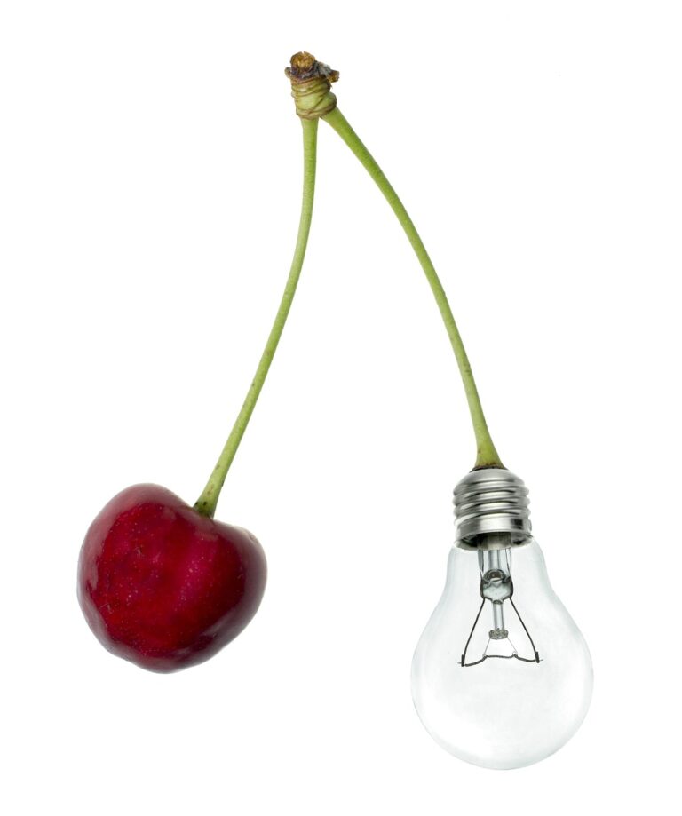 cherry-548646_1280