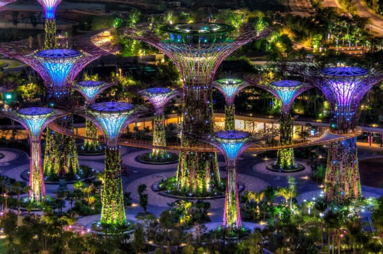 Árboles en el Jardín de Singapur