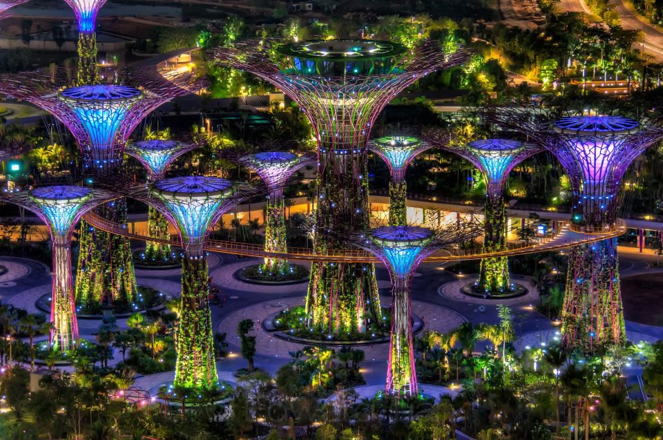 Árboles en el Jardín de Singapur