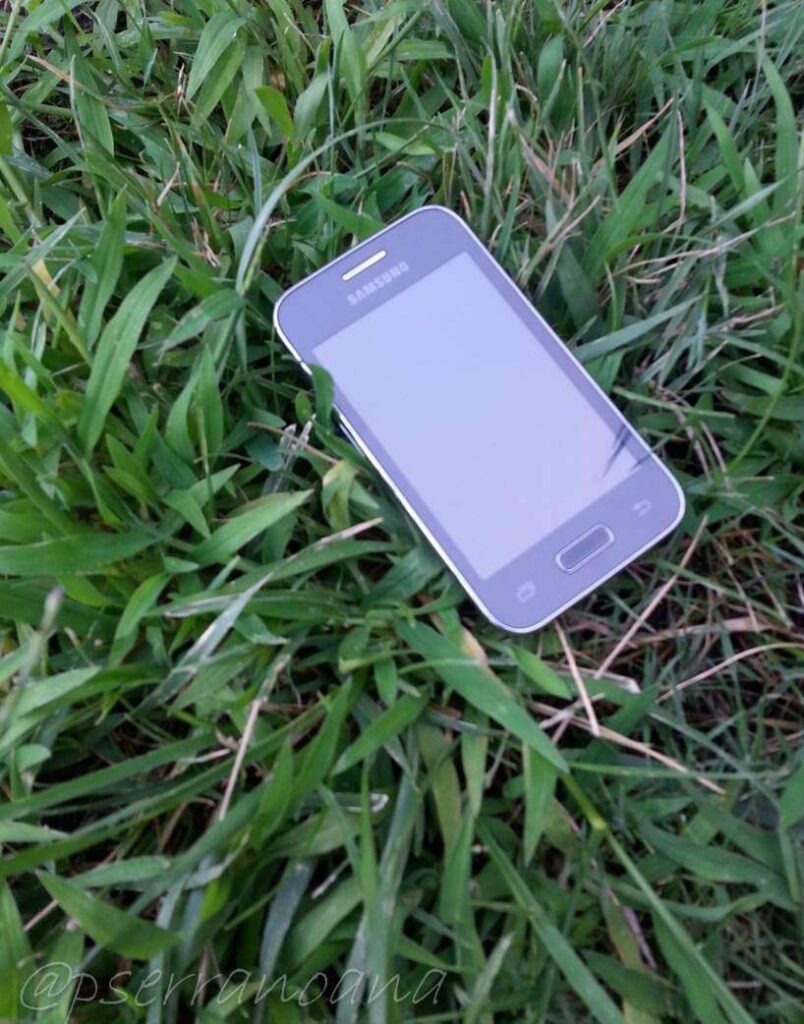 Apps para el cuidado del medio ambiente