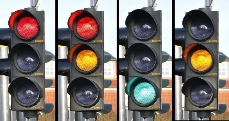 Tráfico y seguridad vial para personas con discapacidad