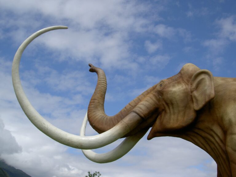 Mamut y evadir impuestos