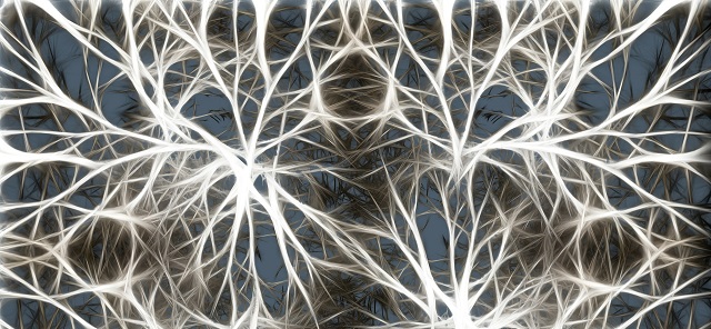 Especial neurociencia en IMF: Protegiendo el cerebro