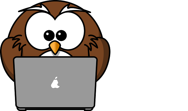 Ventajas de organizar un webinar?