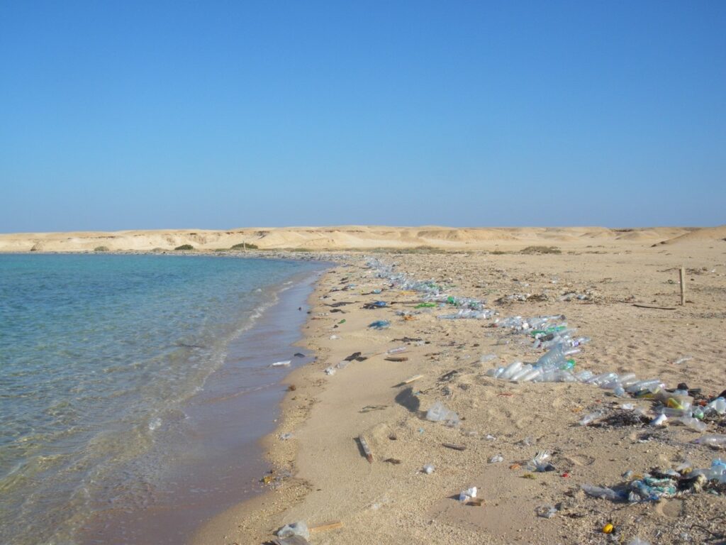 playa con plásticos