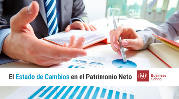 libro contable estado de cambios patrimonio neto