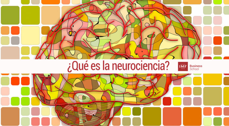 Qué es neurociencia, estudio del cerebro