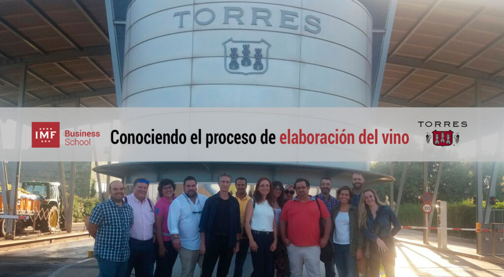 conocer el proceso de elaboracion del vino