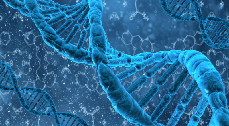 doble helice adn dna