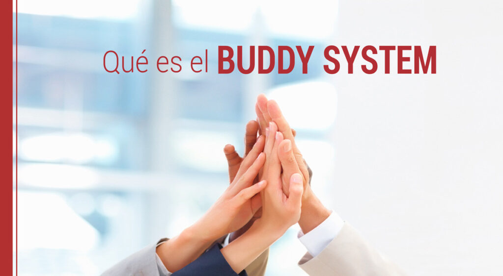 la importancia del buddy system y el trabajo en equipo