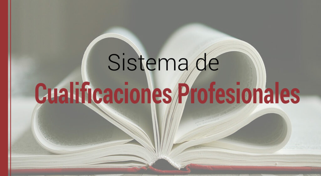 el aprendizaje y el sistema de cualificaciones profesionales