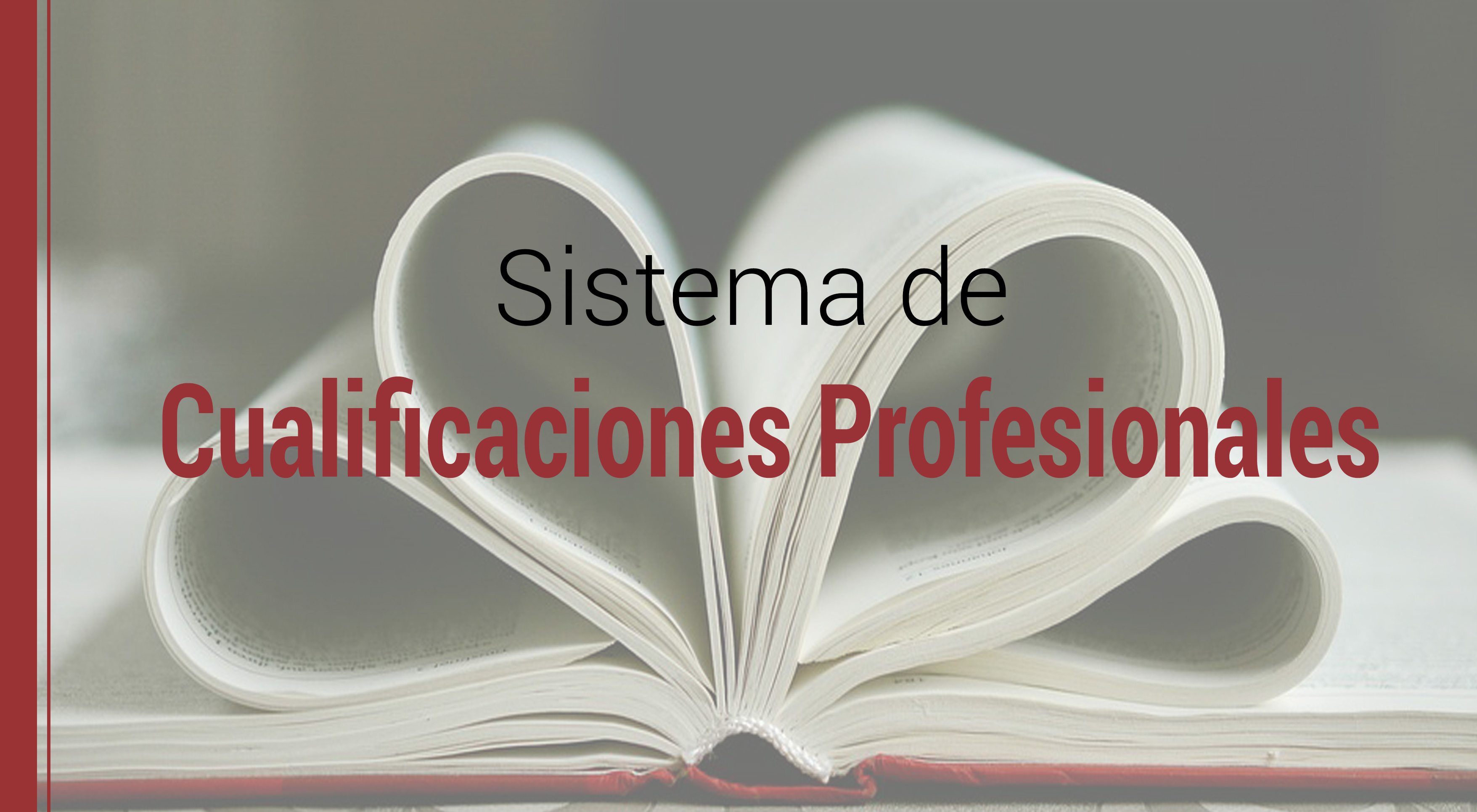 el aprendizaje y el sistema de cualificaciones profesionales