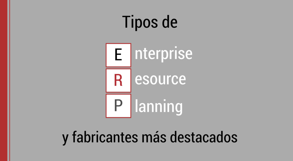 los tipos de erp