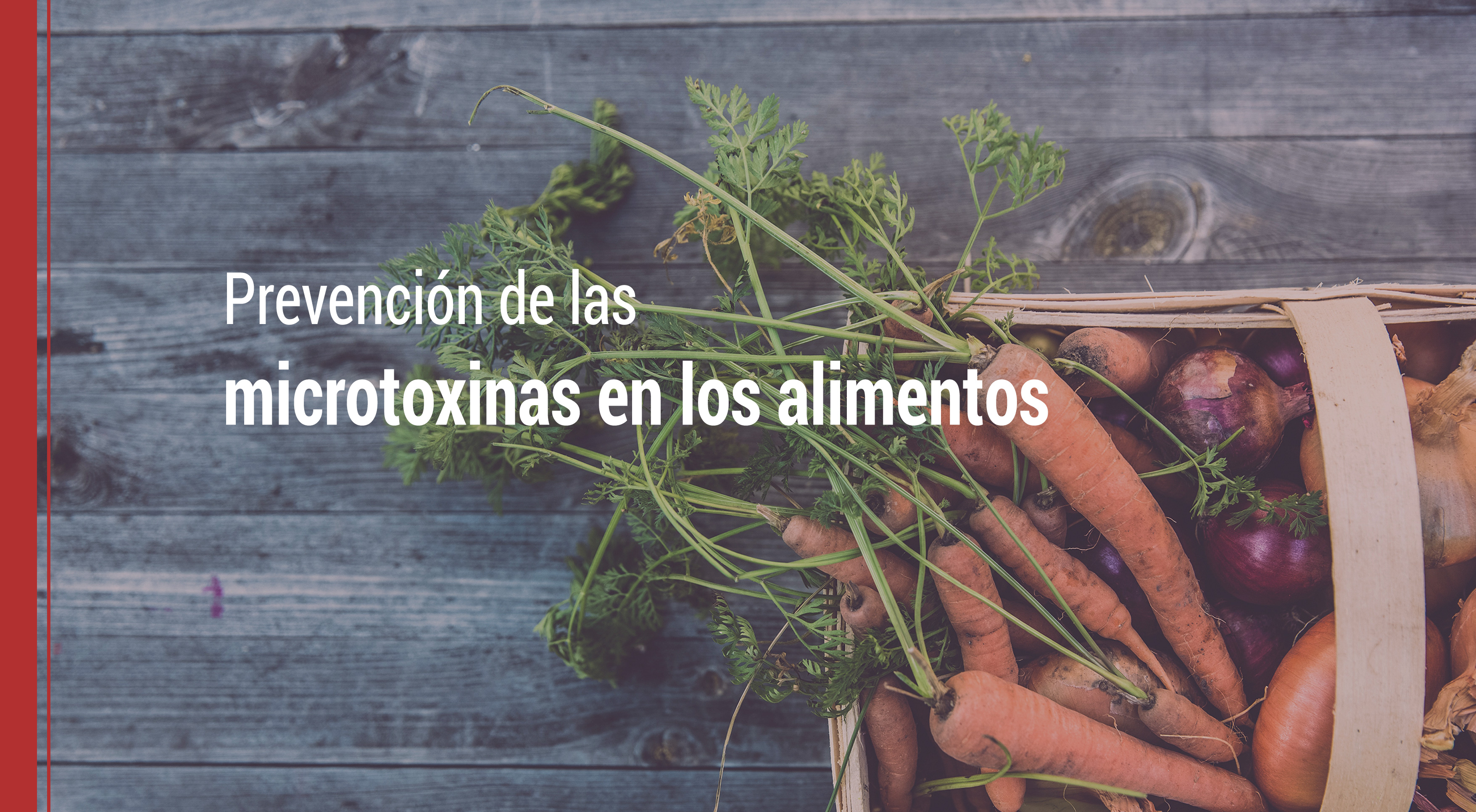 las microtoxinas en los alimentos