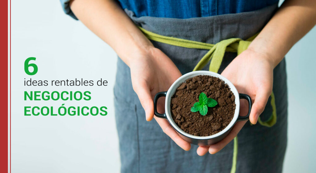 ideas rentables de negocios ecologicos