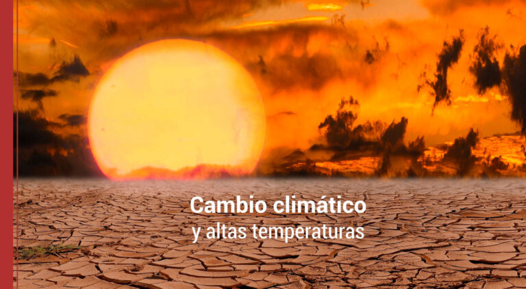 el cambio climatico y las altas temperaturas