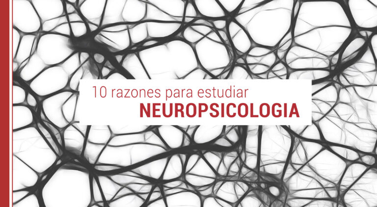 razones para estudiar neuropsicologia