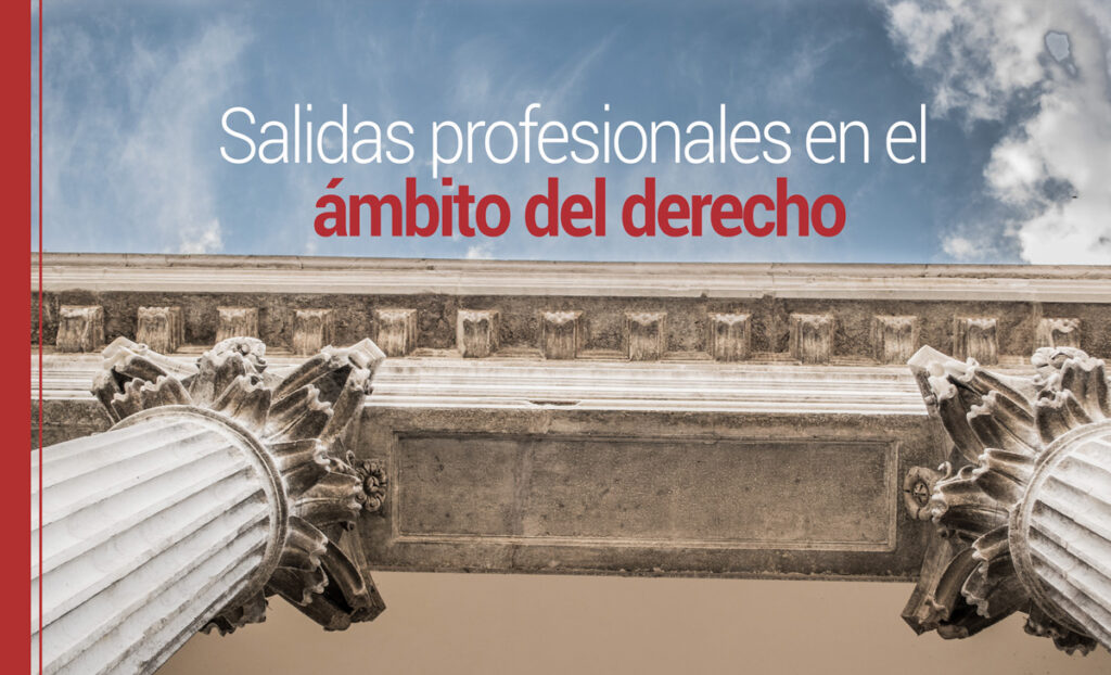 Las salidas profesionales del derecho en el sector público y privado