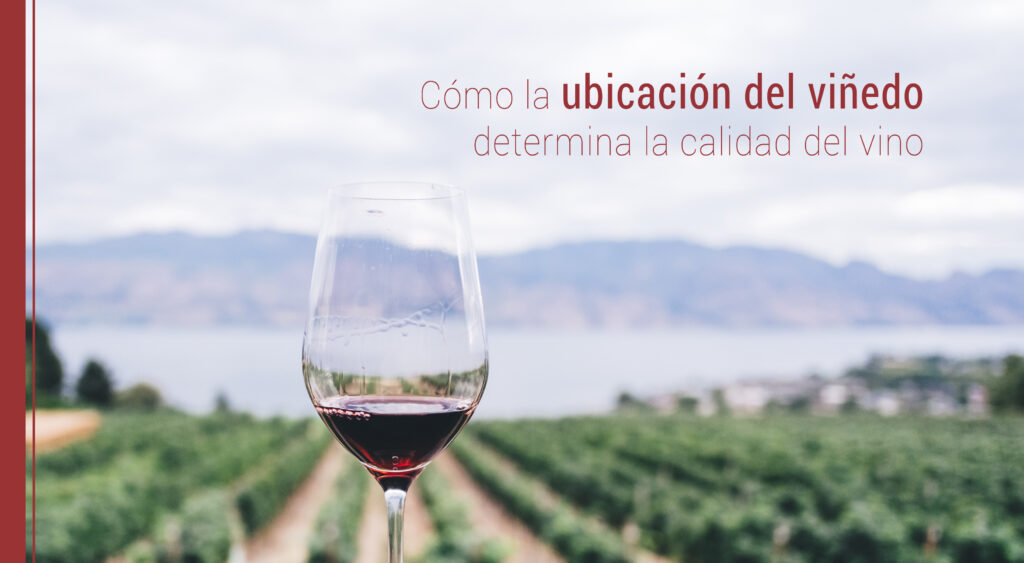 la ubicacion del viñedo y el vino