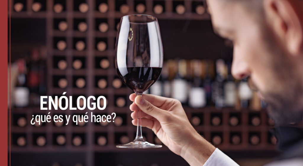 que es un enologo y que hace