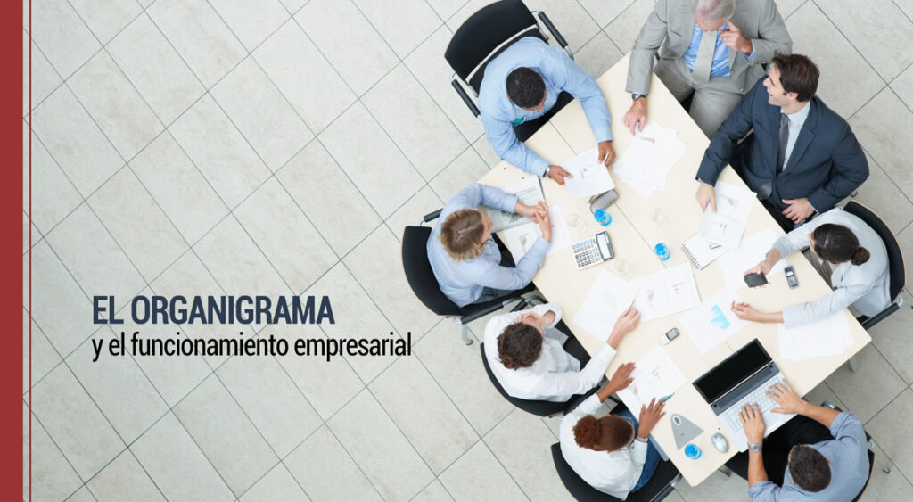 La importancia del organigrama en el funcionamiento empresarial