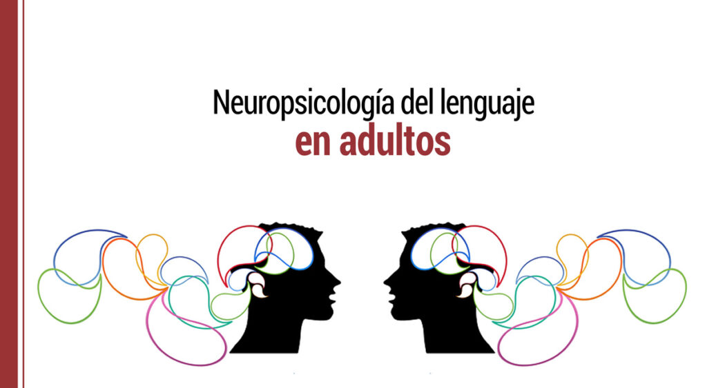 la neuropsicologia del lenguaje en adultos
