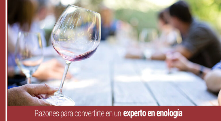 por que debes convertirte en un experto en enologia