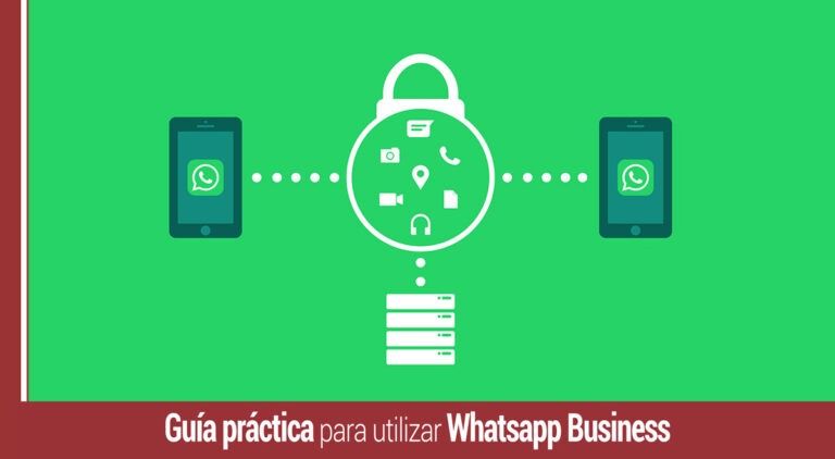 whatsapp business