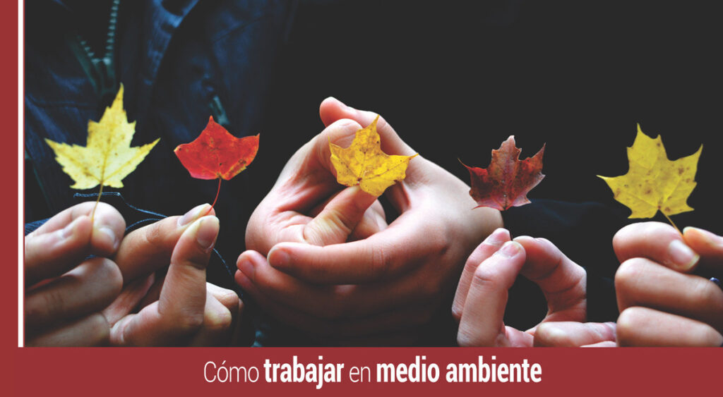 como conseguir trabajar en medio ambiente