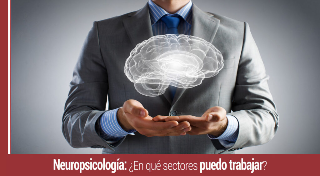 sectores para trabajar en neuropsicologia