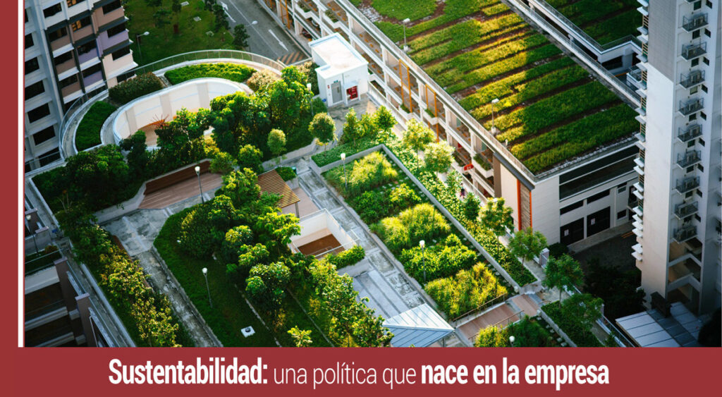 la sustentabilidad en la empresa