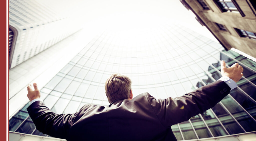 competencias-profesional-desarrollo-organizacional