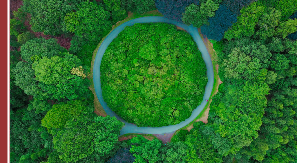 Triple Bottom Line: Marketing de impacto positivo