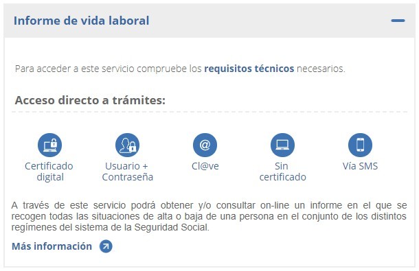 vida-laboral-internet