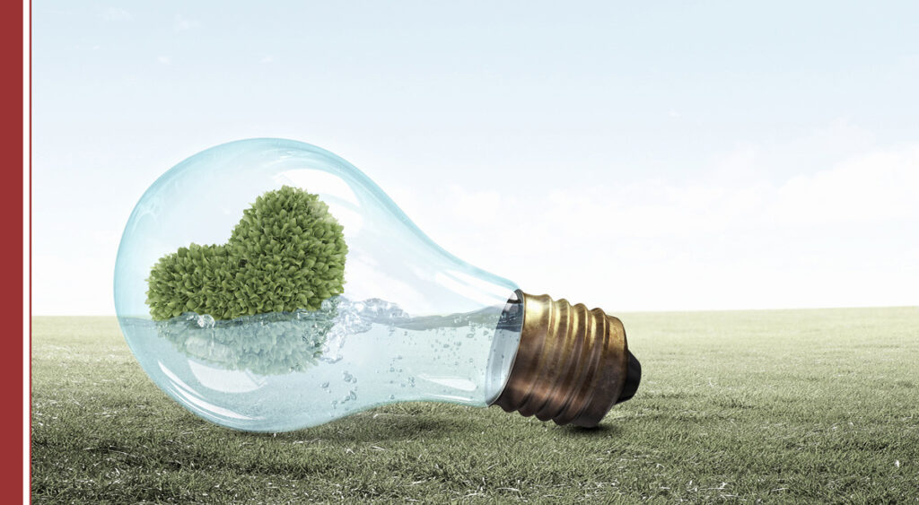 14 de febrero dia mundial de la energia