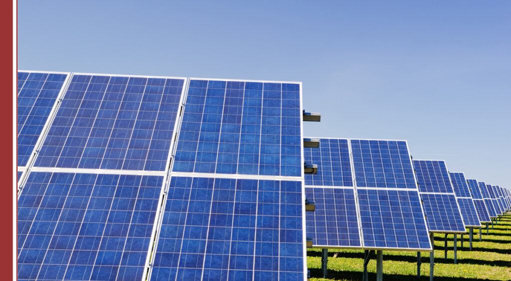 Eenergias renovables empleo futuro