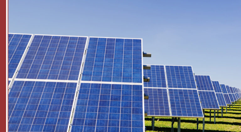 Eenergias renovables empleo futuro