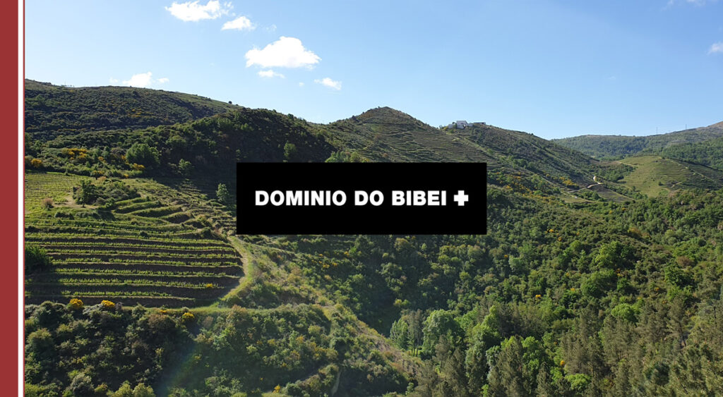 Dominio do Bibei visita