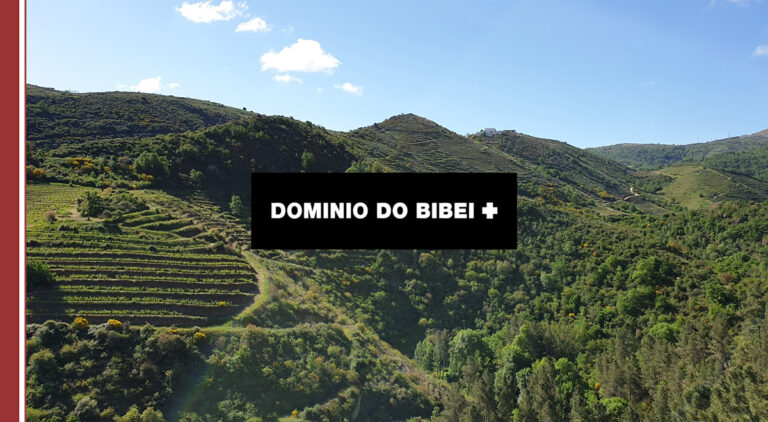 Dominio do Bibei visita