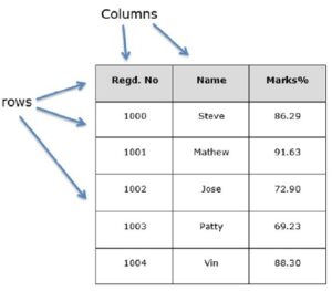 Imagen 1: Estructura de un dataframe